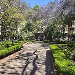 Cozy & Refurbished Apartment In Old Town Marbella