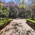 Cozy & Refurbished Apartment In Old Town Marbella