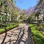 Cozy & Refurbished Apartment In Old Town Marbella